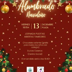 ALUMBRADO NAVIDEÑO