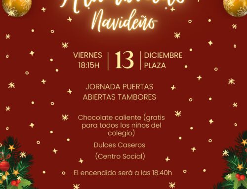 ALUMBRADO NAVIDEÑO